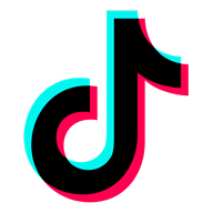 platform-tiktok-ads.png